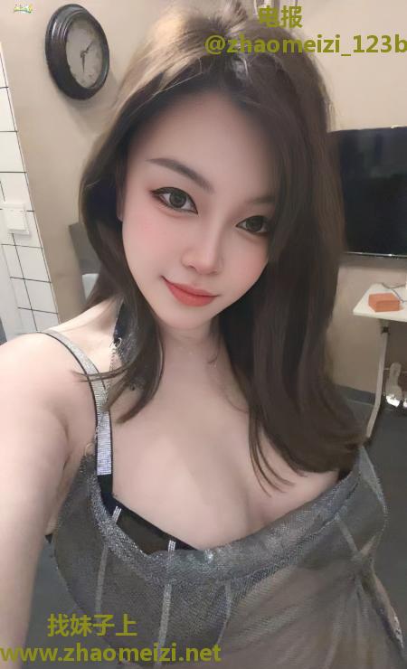 宝安大白奶小肥猫