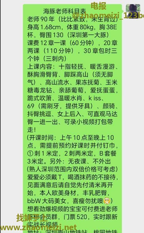 南山海豚BBW