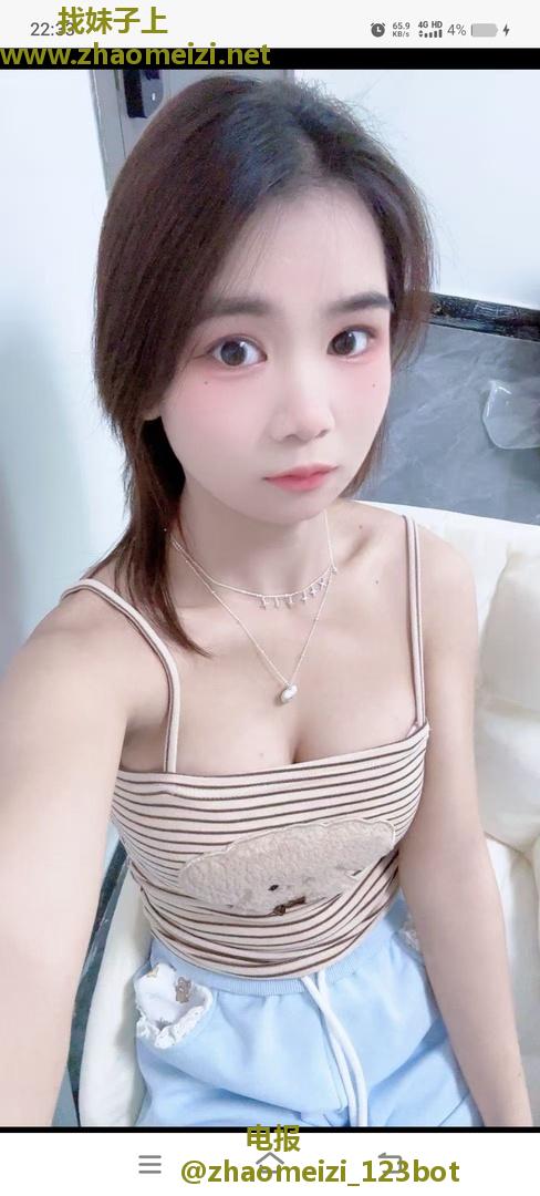 长安玫瑰花